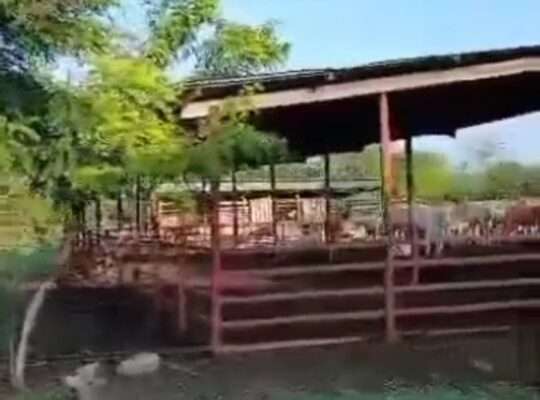 1,500 ACRES FARMLAND, $ 1.8 MIL. IN MOROGORO.