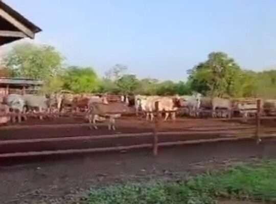 1,500 ACRES FARMLAND, $ 1.8 MIL. IN MOROGORO.
