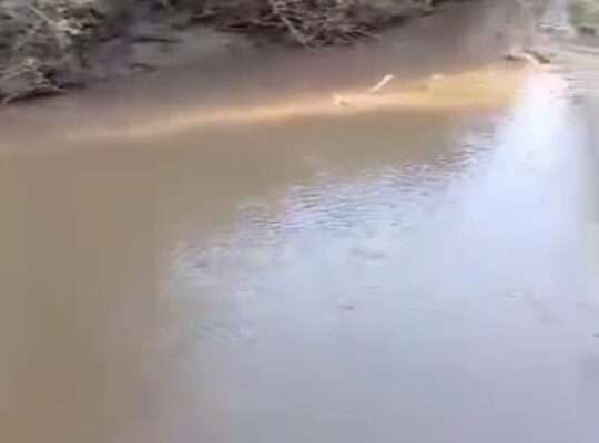 1,500 ACRES FARMLAND, $ 1.8 MIL. IN MOROGORO.
