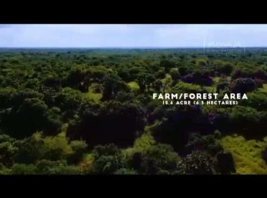 8.4 ACRES COMMERCIAL BEACH-LAND, AT MKWAJA,TANGA