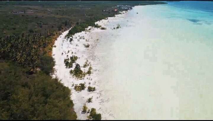 29 ACRES BEACH-LAND AT MICHAMVI, ZANZIBAR