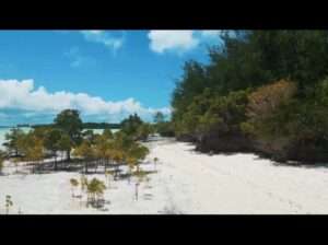 29 ACRES BEACH-LAND AT MICHAMVI, ZANZIBAR