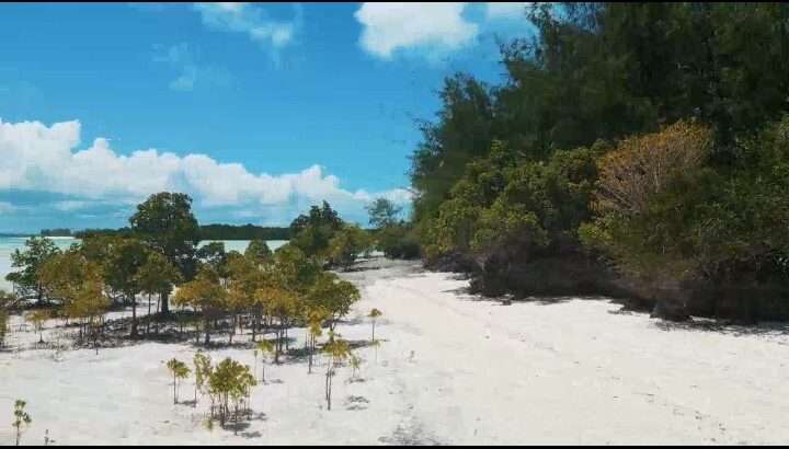 29 ACRES BEACH-LAND AT MICHAMVI, ZANZIBAR