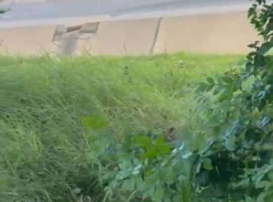 KIWANJA CHENYE HATI,SQM.400, KIGAMBONI-DARAJANI.