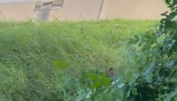 KIWANJA CHENYE HATI,SQM.400, KIGAMBONI-DARAJANI.