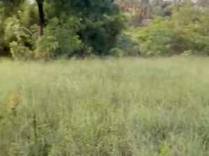 KIWANJA CHENYE HATI,SQM.400, KIGAMBONI-DARAJANI.