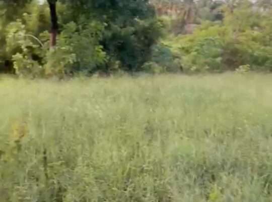 KIWANJA CHENYE HATI,SQM.400, KIGAMBONI-DARAJANI.