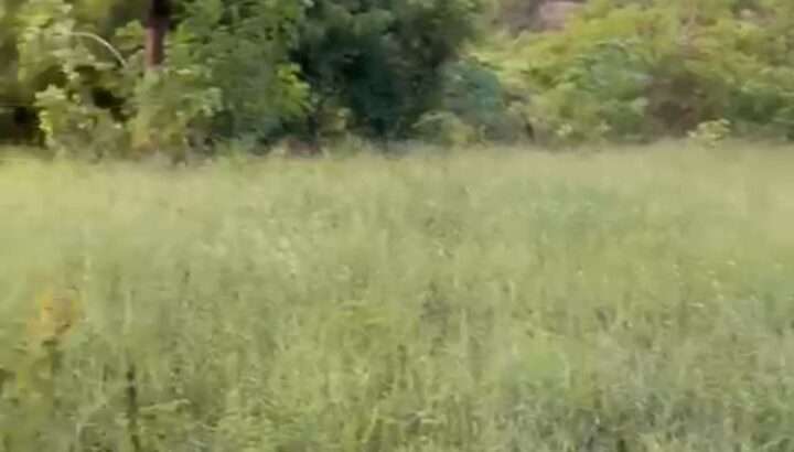 KIWANJA CHENYE HATI,SQM.400, KIGAMBONI-DARAJANI.