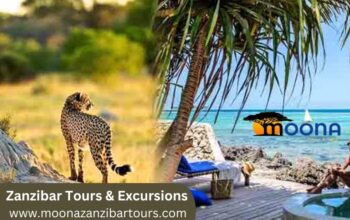 Book Your Zanzibar Tour Packages today for your