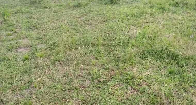 KIWANJA SQM.1600, TSHS.5 MIL. DISUNYALA,MLANDIZI