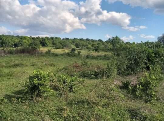 KIWANJA SQM.1600, TSHS.5 MIL. DISUNYALA,MLANDIZI