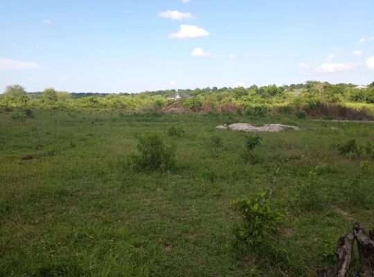 KIWANJA SQM.1600, TSHS.5 MIL. DISUNYALA,MLANDIZI