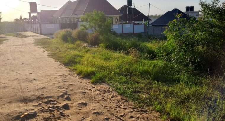 KIWANJA CHA KWENYE KONA, 750 SQM. MBEZI MSAKUZI.