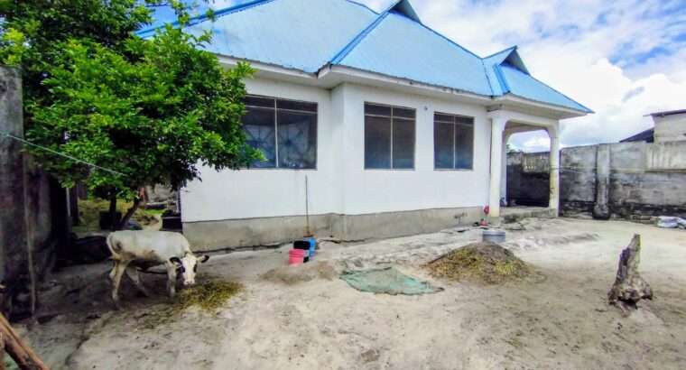 NYUMBA YA VYUMBA 3, KIVULE FREMU 10