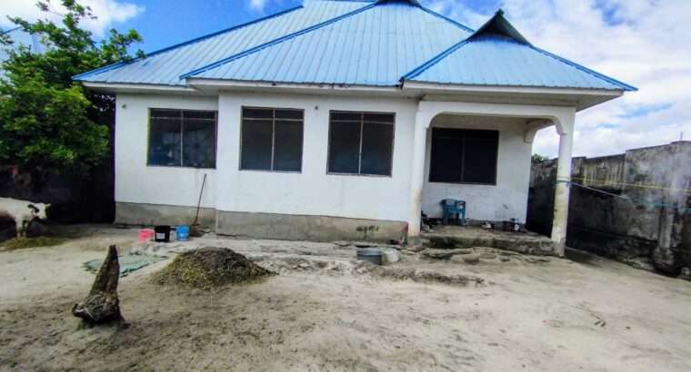 NYUMBA YA VYUMBA 3, KIVULE FREMU 10