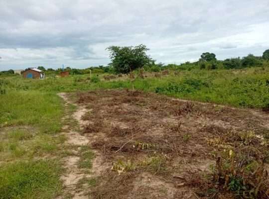 KIWANJA SQM.1,200 KINAUZWA NA BANK,VIGWAZA