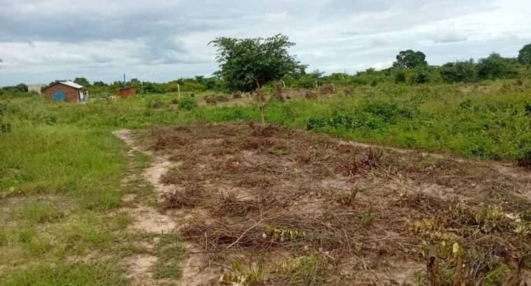 KIWANJA SQM.1,200 KINAUZWA NA BANK,VIGWAZA