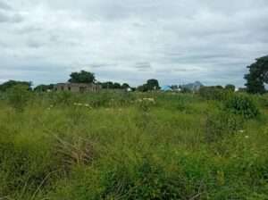 KIWANJA SQM.1,200 KINAUZWA NA BANK,VIGWAZA