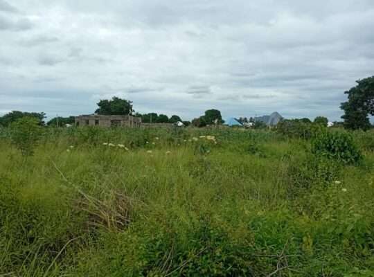 KIWANJA SQM.1,200 KINAUZWA NA BANK,VIGWAZA