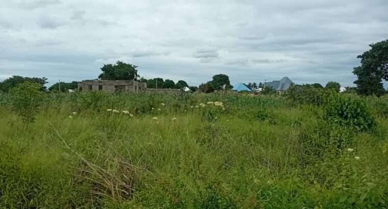 KIWANJA SQM.1,200 KINAUZWA NA BANK,VIGWAZA