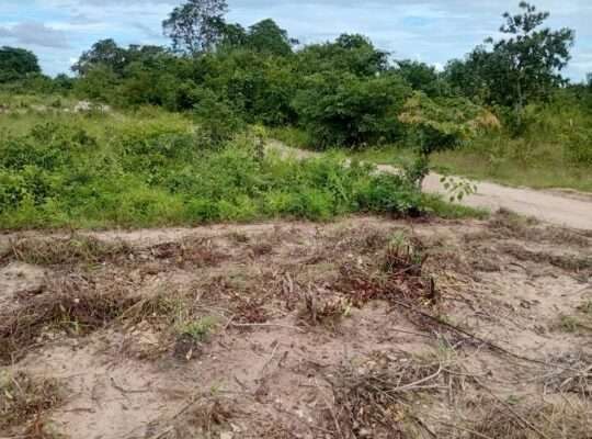 KIWANJA SQM.1,200 KINAUZWA NA BANK,VIGWAZA