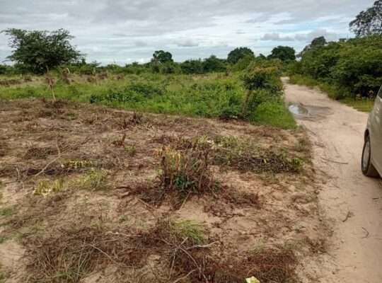 KIWANJA SQM.1,200 KINAUZWA NA BANK,VIGWAZA