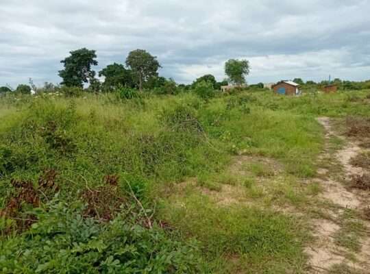 KIWANJA SQM.1,200 KINAUZWA NA BANK,VIGWAZA