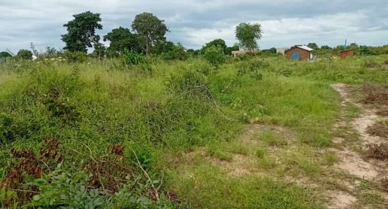 KIWANJA SQM.1,200 KINAUZWA NA BANK,VIGWAZA