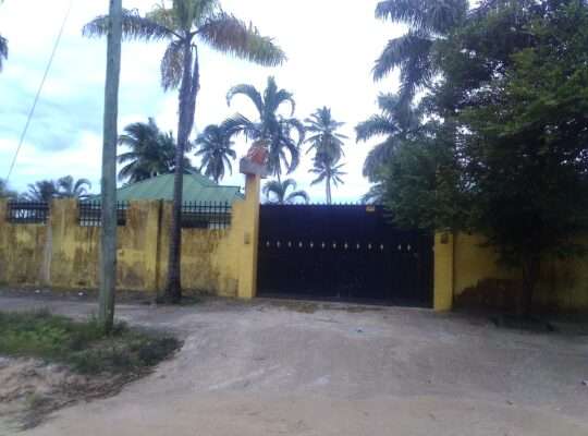 NYUMBA MBILI/MADUKA 3, KIWANJA SQM.2,000, PUGU