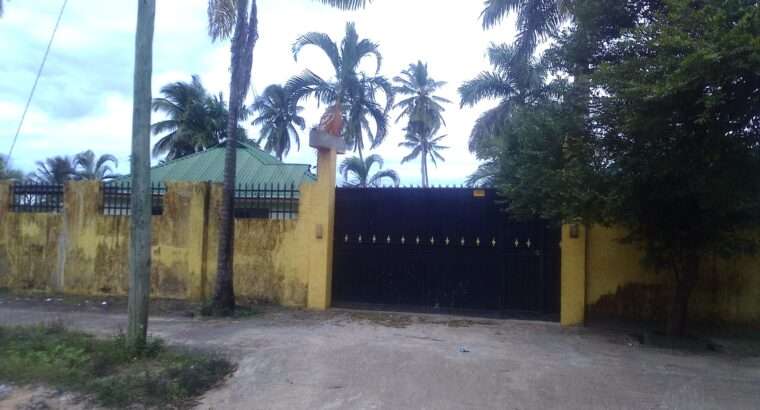 NYUMBA MBILI/MADUKA 3, KIWANJA SQM.2,000, PUGU