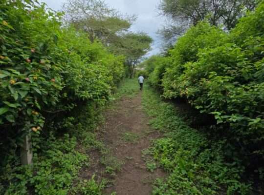 33 PRIME COMMERCIAL LAND AT USA-RIVER, ARUSHA