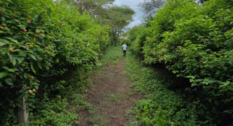 33 PRIME COMMERCIAL LAND AT USA-RIVER, ARUSHA