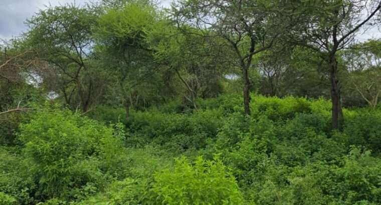 33 PRIME COMMERCIAL LAND AT USA-RIVER, ARUSHA