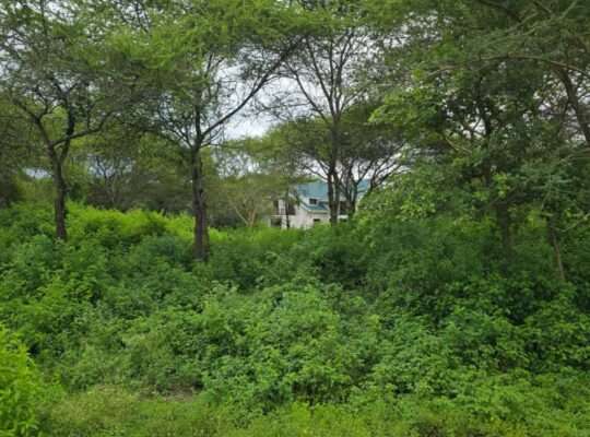 33 PRIME COMMERCIAL LAND AT USA-RIVER, ARUSHA
