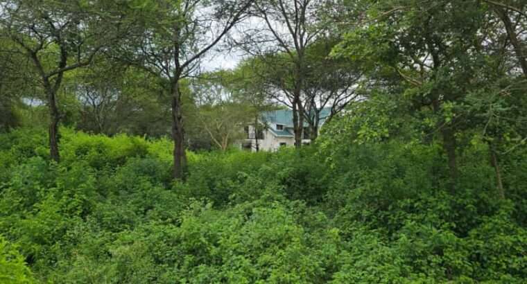 33 PRIME COMMERCIAL LAND AT USA-RIVER, ARUSHA