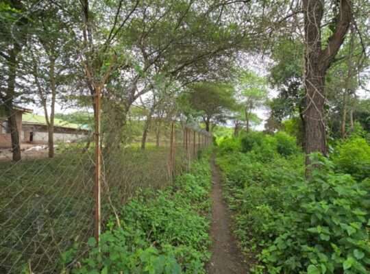 33 PRIME COMMERCIAL LAND AT USA-RIVER, ARUSHA
