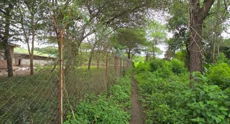 33 PRIME COMMERCIAL LAND AT USA-RIVER, ARUSHA