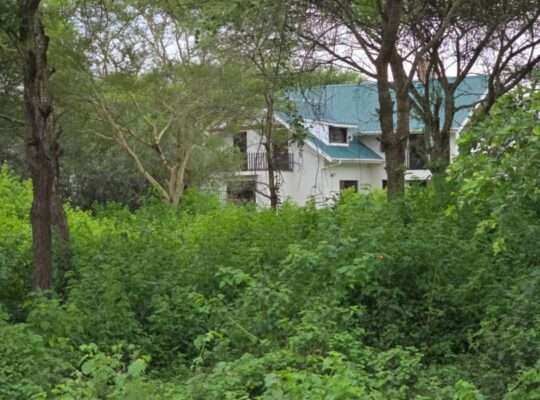 33 PRIME COMMERCIAL LAND AT USA-RIVER, ARUSHA