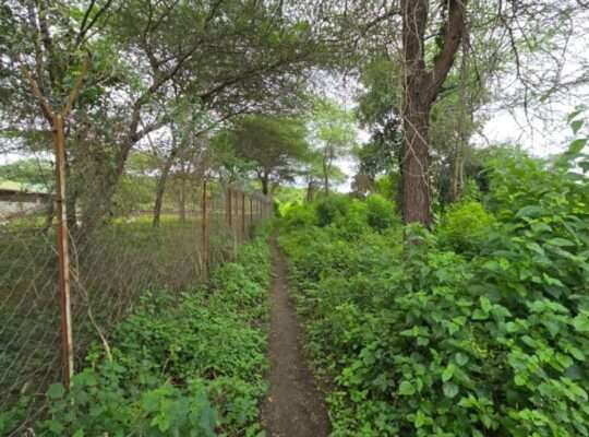 33 PRIME COMMERCIAL LAND AT USA-RIVER, ARUSHA