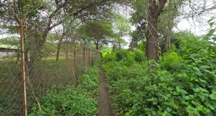 33 PRIME COMMERCIAL LAND AT USA-RIVER, ARUSHA