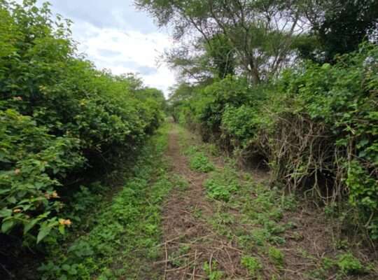 33 PRIME COMMERCIAL LAND AT USA-RIVER, ARUSHA