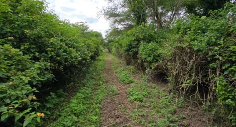 33 PRIME COMMERCIAL LAND AT USA-RIVER, ARUSHA