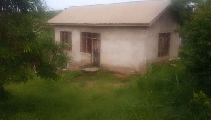 BANDA LA VYUMBA VIWILI, MBEZI LUIS/GOBA MUHIMBIL