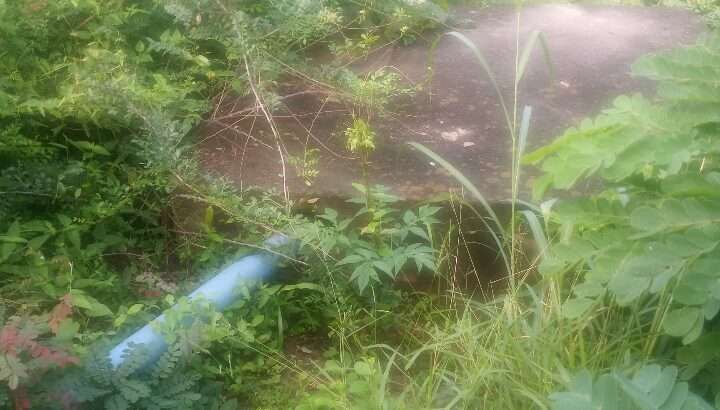 BANDA LA VYUMBA VIWILI, MBEZI LUIS/GOBA MUHIMBIL