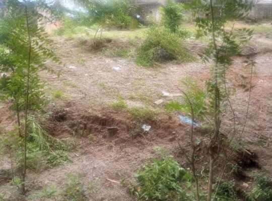 KIWANJA (16 X 12) TSHS.6 MIL. MBEZI LUIS/GOBA MH