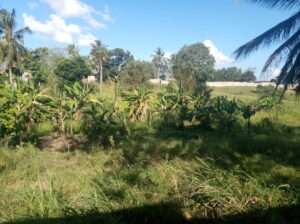 KIWANJA SQM 4,169, KIBAMBA CCM, DAR ES SALAAM.