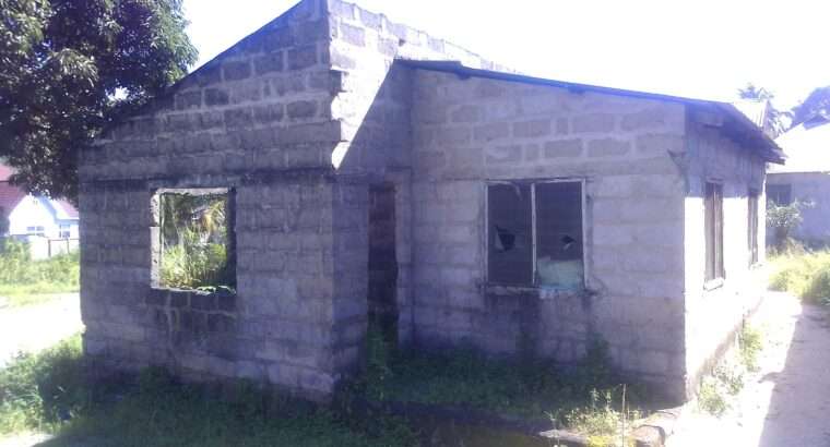 PAGALE LENYE VYUMBA 3, PUGU-MPAKANI.