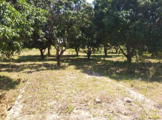 SHAMBA EKA 2.6/NYUMBA,TSHS.79 MIL KEREGE