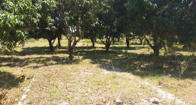 SHAMBA EKA 2.6/NYUMBA,TSHS.79 MIL KEREGE