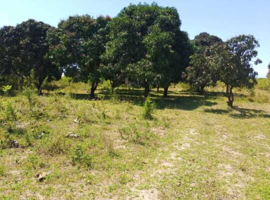 SHAMBA EKA 2.6/NYUMBA,TSHS.79 MIL KEREGE